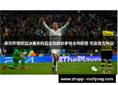 泰尔齐奇欧冠决赛失利后主动辞去多特主帅职务 引发各方热议 泰尔齐奇欧冠决赛失利后主动辞去多特主帅职务 引发各方热议